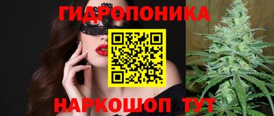 гашик Обь