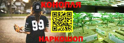 ГАЛЛЮЦИНОГЕННЫЕ ГРИБЫ Обнинск