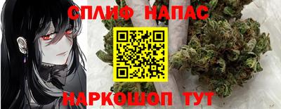 гашик Обь